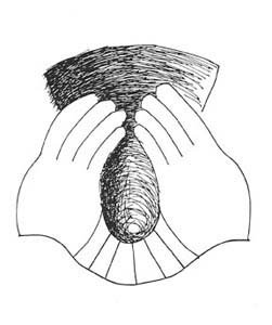 8091-symbolik02