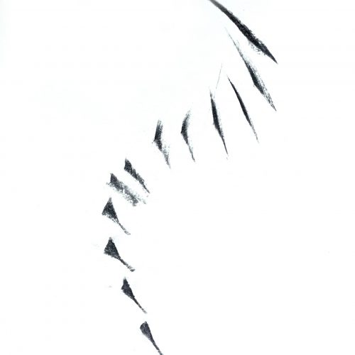 IMG_20250728_145056_edit_1363361094465